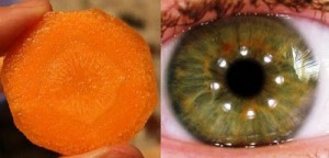 slice carrot eye